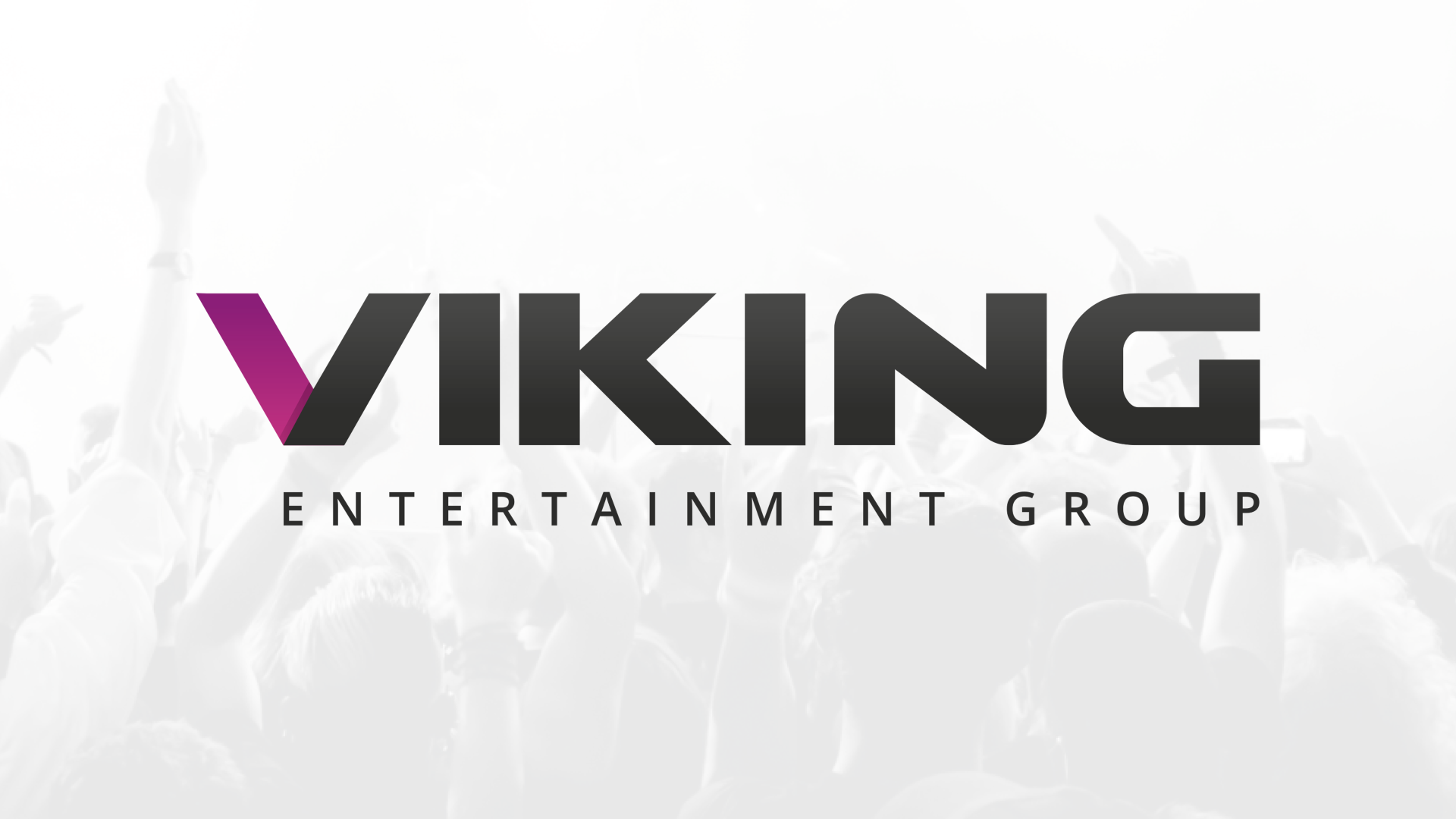 Viking Entertainment Group