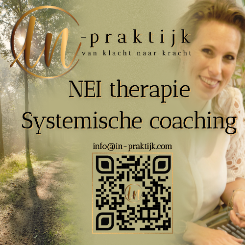 IN-praktijk scherm vierkant (1)